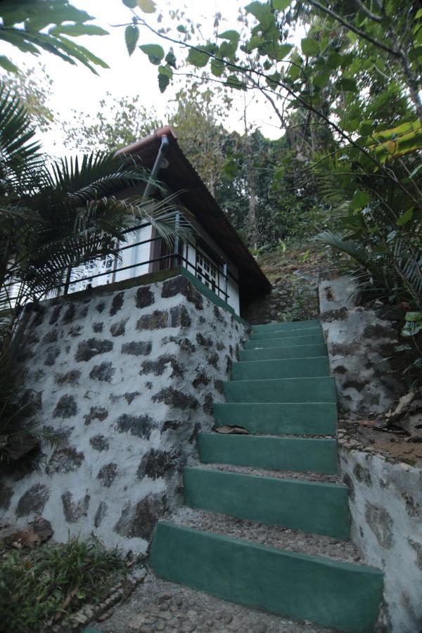 Vanilla County Vagamon Exterior foto